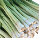 Semínka póru Allium ampeloprasum Allium adscendens, 50 ks, kuchyňská zelenina s bílými dužnatými stvoly, výsadba na zahrady a záhony 1