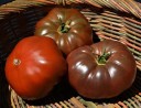 Semínka rajčete Solanum lycopersicum Cherokee Purple 5 ks Odrůda s velkými tmavě purpurovými masitými plody Na záhon i do skleníku 2