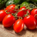 Semínka rajčete Solanum lycopersicum Cherry Roma 5 ks Odrůda s drobnými podlouhlými červenými plody Na záhon i do skleníku a truhlíku 2