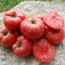 Semínka rajčete Solanum lycopersicum German Pink 5 ks Odrůda s velkými růžovými masitými plody Na záhon i do skleníku a truhlíku 2