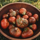 Semínka rajčete Solanum lycopersicum Japanese Trifele Black 5 ks Odrůda s hruškovitými tmavě červenohnědými plody Na záhon i do skleníku 1