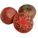 Semínka rajčete Solanum lycopersicum Paul Robeson 5 ks Odrůda s velkými tmavě červenohnědými masitými plody Na záhon i do skleníku 1