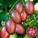 Semínka rajčete Solanum lycopersicum Ukrainian Purple 5 ks Odrůda s podlouhlými tmavě purpurovými plody Na záhon i do skleníku a truhlíku 1