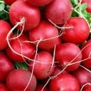 Semínka ředkvičky Raphanus sativus 20 ks Rychlá kořenová zelenina s červenými kulatými bulvami Na záhon i do truhlíku a skleníku 2