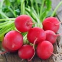 Semínka ředkvičky Raphanus sativus 50 ks Rychlá kořenová zelenina s červenými kulatými bulvami Na záhon i do truhlíku a skleníku 3