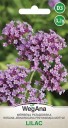 Semínka verbena argentinská Lilac 80 ks, vysoká jednoletá květina se světle fialovými chocholíky pro záhon, kytice a podporu motýlů 2