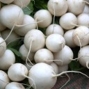 Semínka vodnice Brassica rapa subsp. rapa 50 ks tradiční kořenová zelenina s bílými kulatými bulvami pro výsev na zahradě i v truhlíku 1