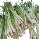 Semínka voňatka citronová Cymbopogon citratus 20 ks zelená aromatická tráva s citronovou vůní pro pěstování v kuchyni a zahradě 1