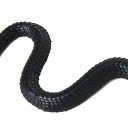Serpent réaliste 4