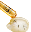 Sérum pour le visage avec de l'or 24 carats en ampoules 7 × 2 ml pour revitaliser la peau, hydrater et obtenir une peau lisse, facilement absorbable 3