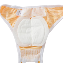 Serviettes pour culottes de chaleur pour chiens 30 pcs Serviettes hygiéniques absorbantes Serviettes de rechange pour chiennes Protection pendant les chaleurs Incontinence 2