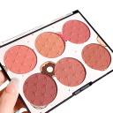 Šestibarevná pudrová lícenka paletka 6 odtieňov Vodoodolná kozmetická paleta na tváre Motiv americkej šišky Vrstviteľný pigment 2