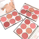 Šestibarevná pudrová lícenka paletka 6 odtieňov Vodoodolná kozmetická paleta na tváre Motiv americkej šišky Vrstviteľný pigment 6