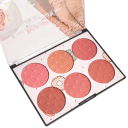 Šestibarevná pudrová lícenka paletka 6 odtieňov Vodoodolná kozmetická paleta na tváre Motiv americkej šišky Vrstviteľný pigment 5