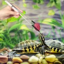 Set 2 buc clești pentru hrănirea reptilelor 27 cm Îndoiți și drepți cu capete din plastic negru pentru hrănirea sigură 4