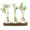 Set 3 Stück Vasen in Form einer Glaskugel 9 cm Holzständer 24 x 7 x 2,5 cm Hydroponische Vase zur Vermehrung von Pflanzen Glas und Holz Terrarium Dekoration 3