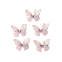 Set 5 bucăți agrafe de păr în formă de fluture Design cu două straturi Plasă Poliester și aliaj Accesorii colorate pentru păr 4