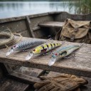 Set aus sinkenden Wobblern Minnow 3 Stk. 11 cm in Kunststoffbox Künstliche Köder mit 3D-Augen und Drillinge aus ABS Für das Angeln auf Raubfische 5