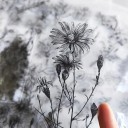 Set de 40 de autocolante alb-negru cu motive florale și vegetale 7,5 x 17 cm pe autocolante din plastic transparent pentru proiecte creative 3