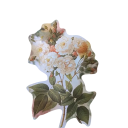 Set de 40 de autocolante cu motive florale pe autocolante din plastic transparent pentru proiecte creative 4