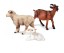 Set de animale de ovine 1