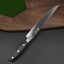 Set de cuțite din oțel inoxidabil 6 buc C257 5