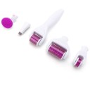 Set de mésothérapie 6 en 1 Derma roller avec 4 embouts interchangeables de différentes tailles Set avec rouleau de massage à aiguilles pour tout le corps 13,8 cm 2
