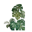 Set di 2 adesivi da parete 73x90cm PVC Pianta decorativa verde Decorazione da parete per soggiorno camera da letto 1