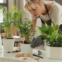 Set di 20 etichette in bambù per piante 10 cm forma a T Etichette ecologiche impermeabili per fiori e piantine 5