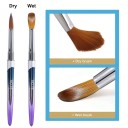 Set di 4 pennelli cosmetici 14 cm Pennelli per unghie acrilico gel e polvere Pennelli con cappuccio setole 5–7 x 16–24 mm Nail art professionale 4