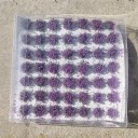 Set di 49 pezzi di ciuffi di fiori 6–8 mm Erba modellistica autoadesiva Ciuffi di fiori colorati per diorami e mini paesaggi 4
