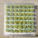 Set di 49 pezzi di ciuffi di fiori 6–8 mm Erba modellistica autoadesiva Ciuffi di fiori colorati per diorami e mini paesaggi 5