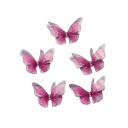 Set di 5 fermagli a farfalla per capelli Design a due strati Rete Poliestere e lega Accessori per capelli colorati 6