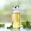 Set di 5 mini imbuti in acciaio inossidabile per versamenti precisi nelle bottiglie Imbuti piccoli 22 x 18 mm Ideali per olio, profumo, alcol o spezie 5