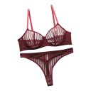 Set di biancheria intima da donna in rete trasparente con strisce, reggiseno con ferretto e coppe non imbottite e perizoma con vita alta 2