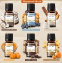 Set di oli profumati Homemade Bread 6×10 ml confezione regalo 165 × 72 mm cocco cioccolato caffè per diffusore aromaterapia 2