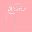 Set med 7 plastiska sugrör Bride 30 x 25 cm Vitt sugrör Brud + rosa sugrör med hjärta Möhippa 2