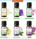 Set med doftoljor Falling in Love 6×10 ml essentiella oljor för diffusorer presentförpackning 165×72 mm aromaterapi hemmet 2