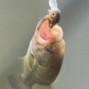 Set mini Wobbler Crankbait 8 Stück 4,5 cm in Plastikbox Schwimmende Kunstköder mit 3D-Augen und Drillingen Für das Angeln auf Raubfische 8