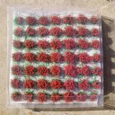 Set mit 49 Stück Blumenbüscheln 6–8 mm Selbstklebendes Modellgras Bunte Blumenbüschel für Dioramen und Miniaturlandschaften 7