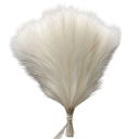 Set of 10 Artificial Pampas Grass 42 cm Silk Decoration for Vases, Table, Weddings, Gardens, Home and Outdoor Celebrations and Parties 6