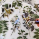 Set of 40 Stickers with Fruit and Plant Motifs on Transparent Plastic Stickers for Creative Projects 2