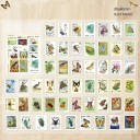 Set of 50 Insect-Themed Stamp-Shaped Stickers 30x40 mm for Decorations and Creative Projects 2