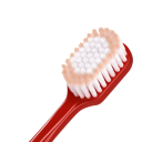 Set of 7 Multicoloured Toothbrushes with Soft Bristles Removable Head Paired Manual Toothbrush for Home Use 19x2.5x1.5cm 4