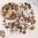 Set of Decorative Flowers 40 pcs Colourful Dried Flowers for Decorations Creative Crafting for Journals, Albums and Handicrafts 5