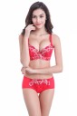 Set sexy pentru femei - sutien și chiloți 2