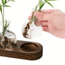 Set van 5 stuks hydroponische vazen 9 cm in de vorm van een bolletje Houten standaard 36,5 x 7 x 2,5 cm Glazen terrarium voor het vermeerderen 5