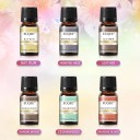 Set von Duftölen Men’s Pub 6×10 ml ätherische Öle für Diffusoren Geschenkverpackung 165×72 mm holzige und würzige Düfte 2