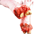 Severed Hand Decoration 3