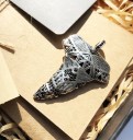 Shark Tooth Pendant 4